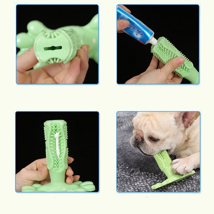 Jouet-de-chien-vert