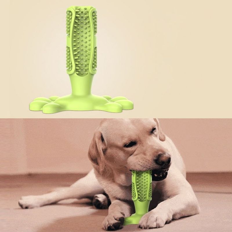 Jouet-pour-chien-vert