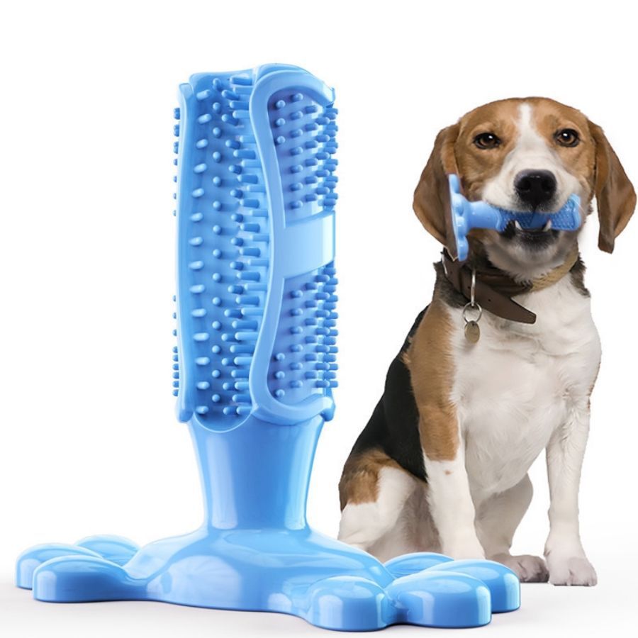 Jouet-pour-chiens-bleu
