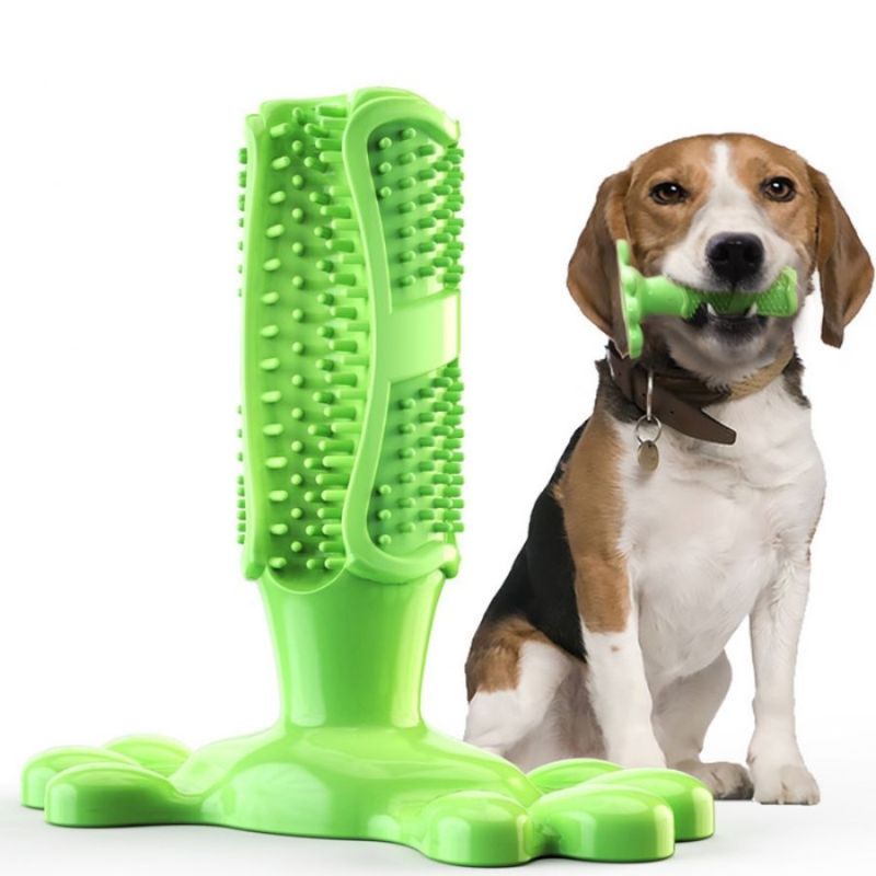 Jouets-pour-chiens-vert