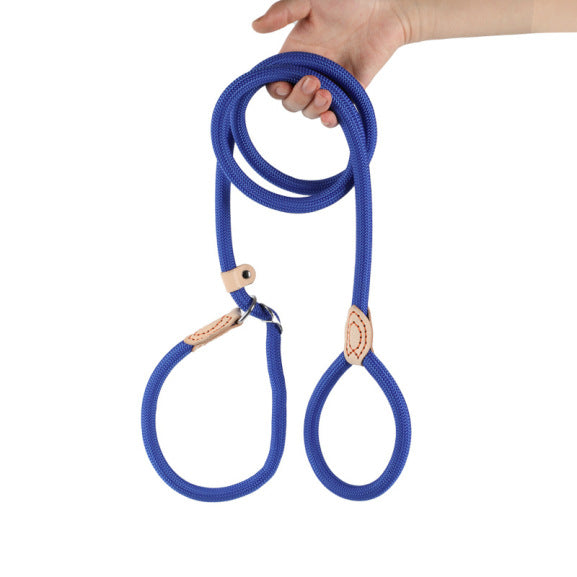 Laisse-pour-chien-BLEU