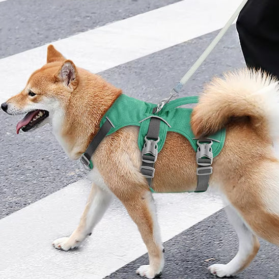 harnais-chien-vert