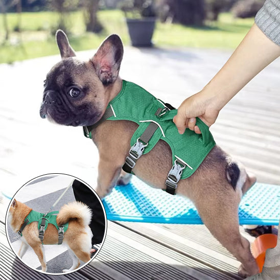 harnais-chiens-anti-traction-vert