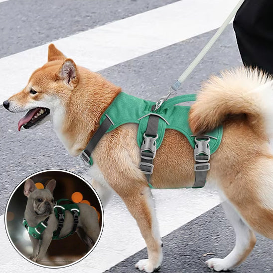 harnaischien-vert