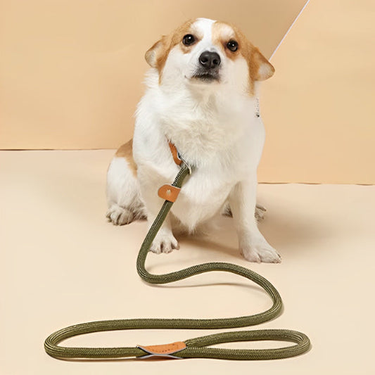 Laisse pour chien est adaptée à toutes nos activités avec notre compagnon canin
