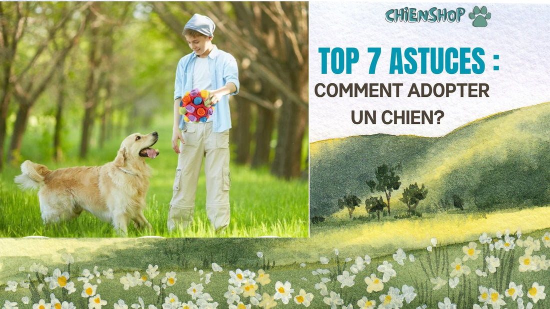 TOP 7 ASTUCES: COMMENT ADOPTER UN CHIEN ? - ChienShop