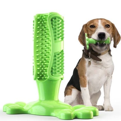 Jouets-pour-chiens-vert