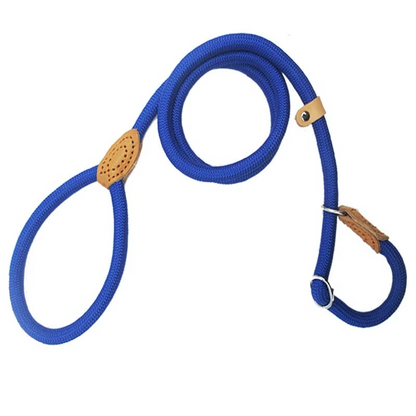 Laisse-dressage-Bleu