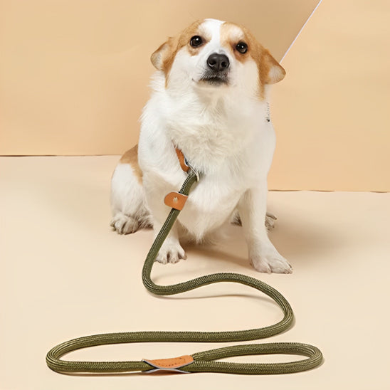 liberte pour chien avec laisse chien