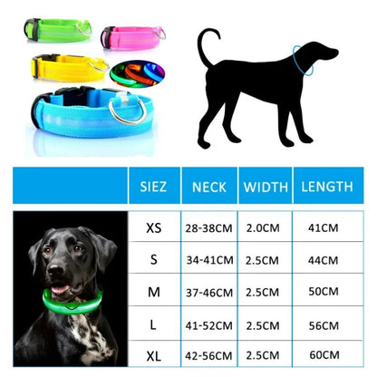 DOG Collars™ ,Colier Lumineux rechargeable pour chien a toute les Tailles - ChienShop