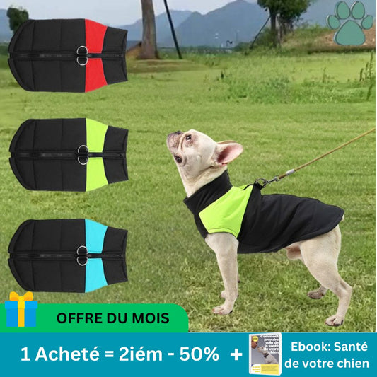 Manteau chien - DogJacket™ - ChienShop